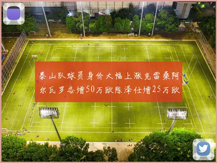 泰山队球员身价大幅上涨克雷桑阿尔瓦罗各增50万欧陈泽仕增25万欧