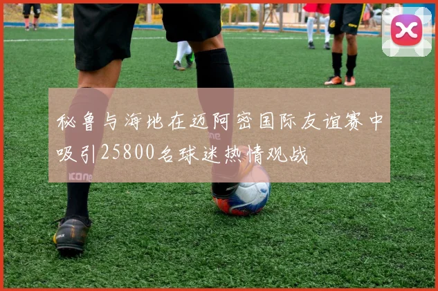 秘鲁与海地在迈阿密国际友谊赛中吸引25800名球迷热情观战